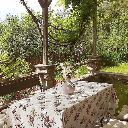 Blick Apartment
